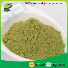 100% Natural organic barley grass juice powder